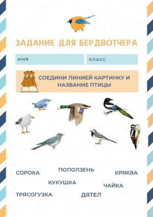 Городские птицы.jpg